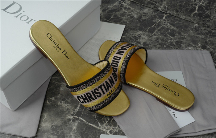 D1R* SLIDE copshoe  DR-219