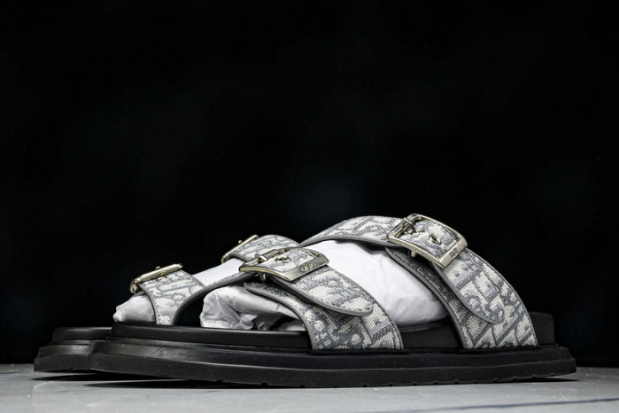 D1R* SLIDE copshoe  DR-SLIDE 014