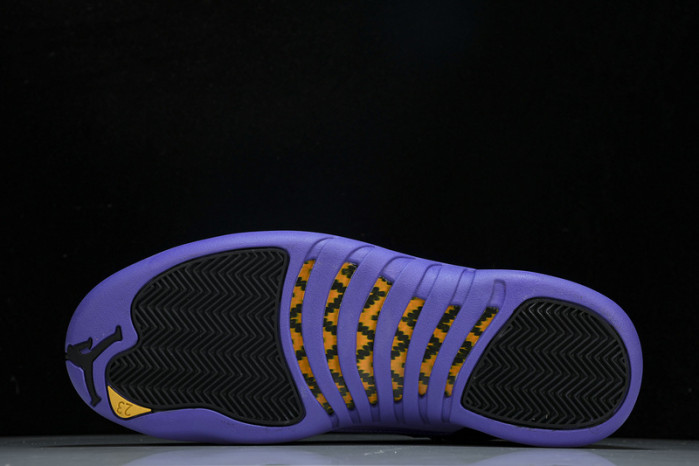Air Jordan 12 Field Purple CT8013-057